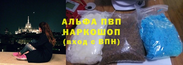 стафф Карпинск