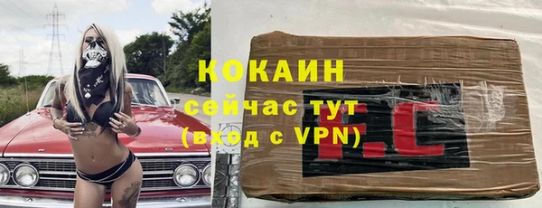 твердый Козловка