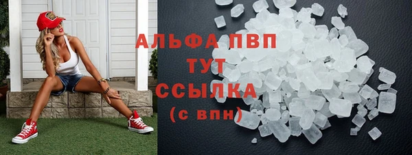 apvp Козельск