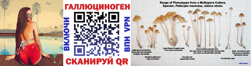 Псилоцибиновые грибы Psilocybe  хочу   Заинск 