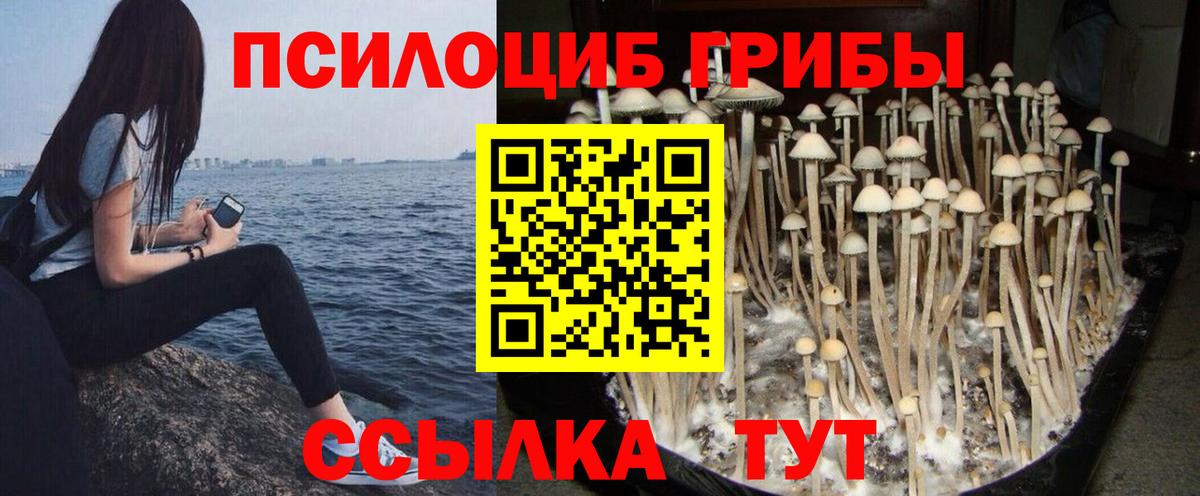 Псилоцибиновые грибы Magic Shrooms Заинск
