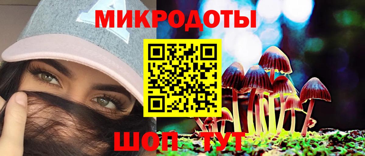 Псилоцибиновые грибы Magic Shrooms  Галлюциногенные грибы ЛСД  Заинск  как найти закладки  Вход с VPN 